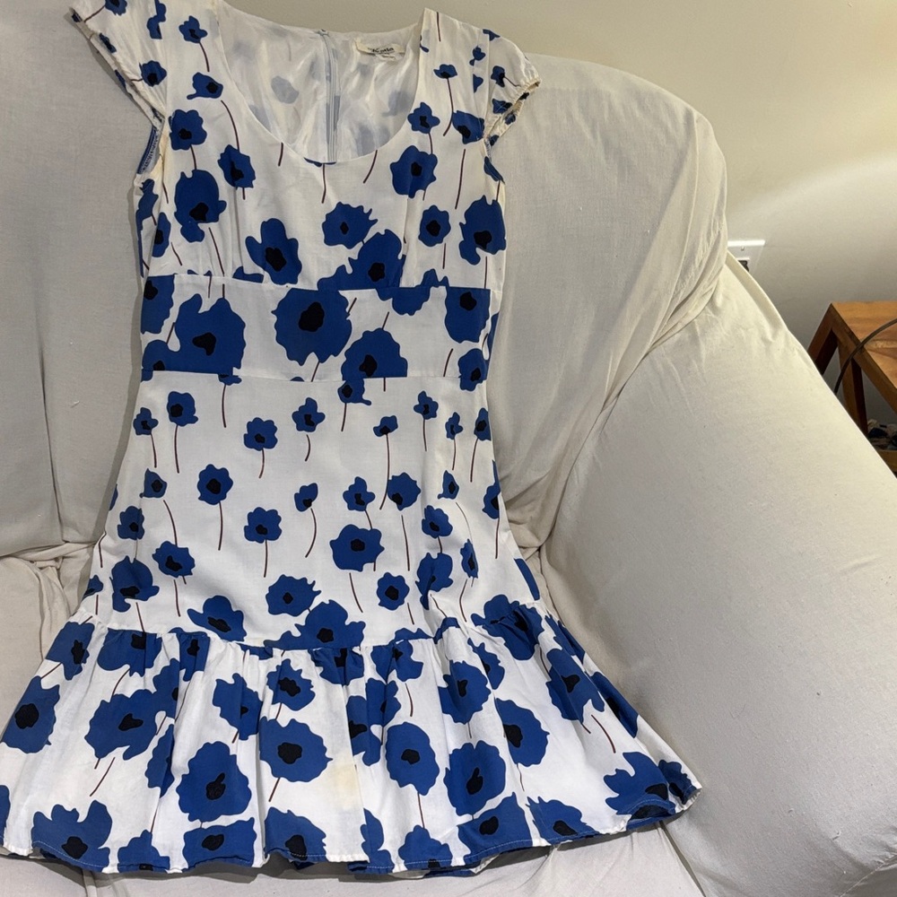 Floral Blue and White Dress